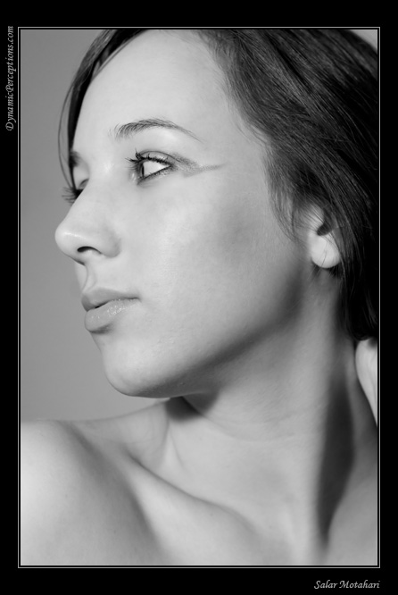DP Blog